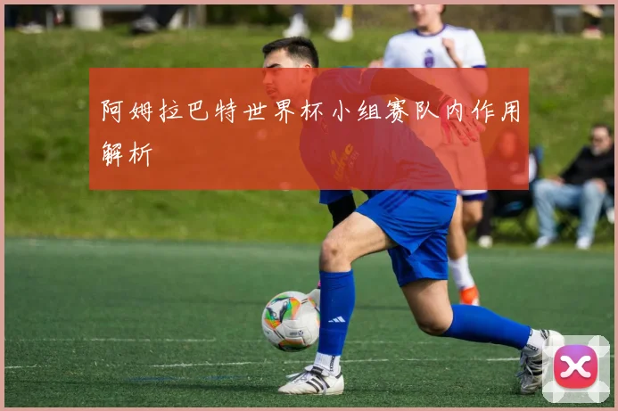 阿姆拉巴特世界杯小组赛队内作用解析