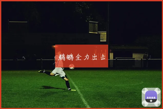 鹈鹕全力出击