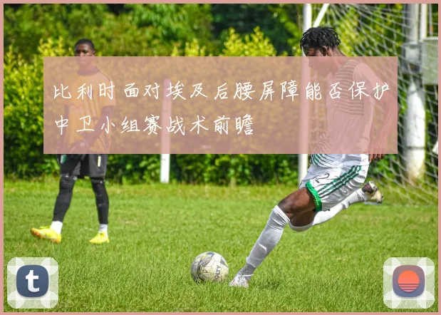 比利时面对埃及后腰屏障能否保护中卫小组赛战术前瞻