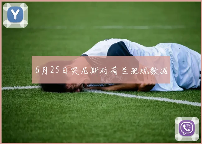 6月25日突尼斯对荷兰犯规数据