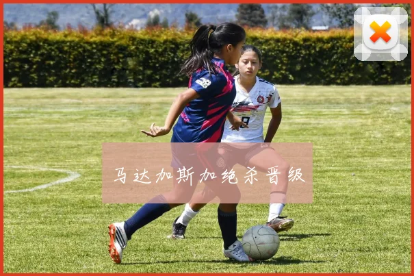 马达加斯加绝杀晋级