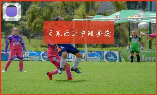 马来西亚中路渗透