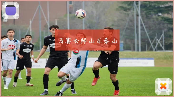 马赛会师山东泰山