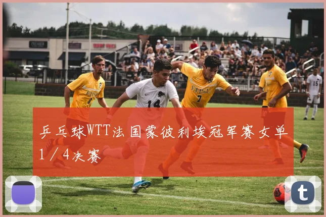 乒乓球WTT法国蒙彼利埃冠军赛女单1／4决赛