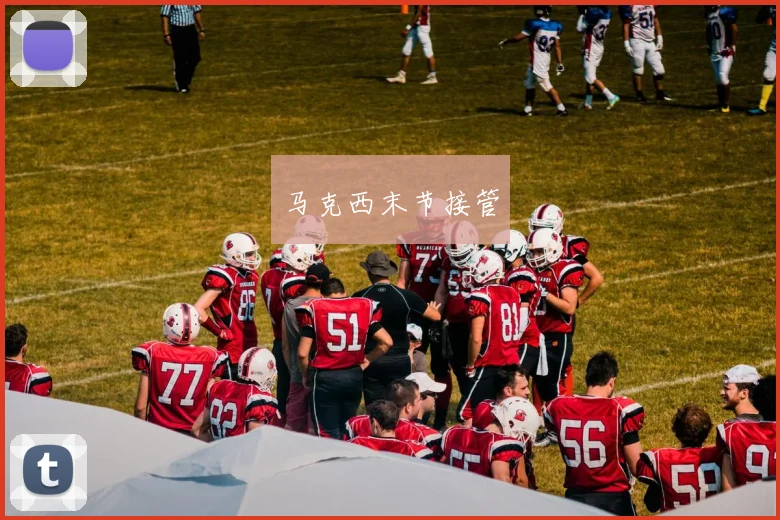 马克西末节接管