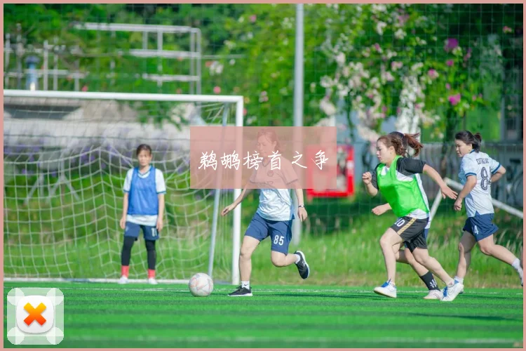 鹈鹕榜首之争