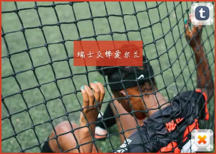 瑞士交锋爱尔兰