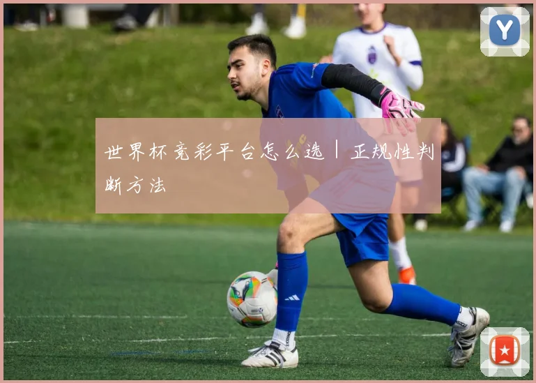 世界杯竞彩平台怎么选｜正规性判断方法