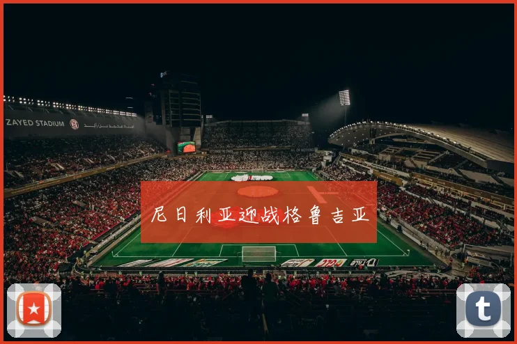 尼日利亚迎战格鲁吉亚