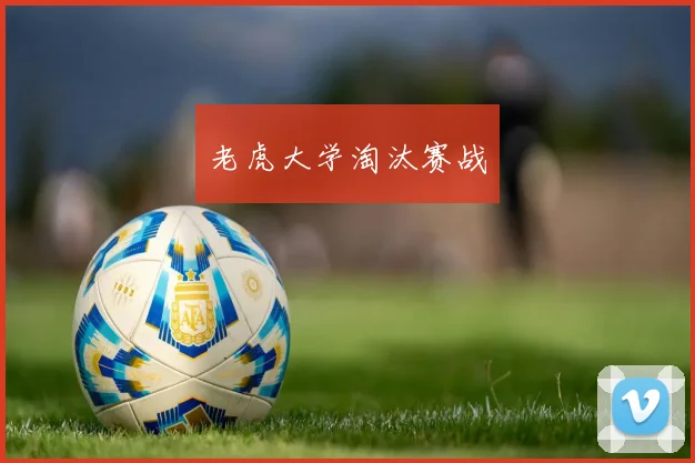 老虎大学淘汰赛战