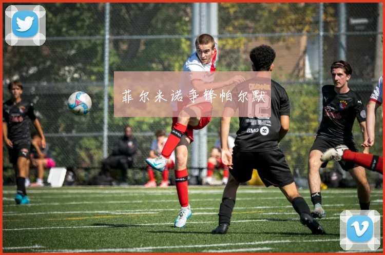 菲尔米诺争锋帕尔默