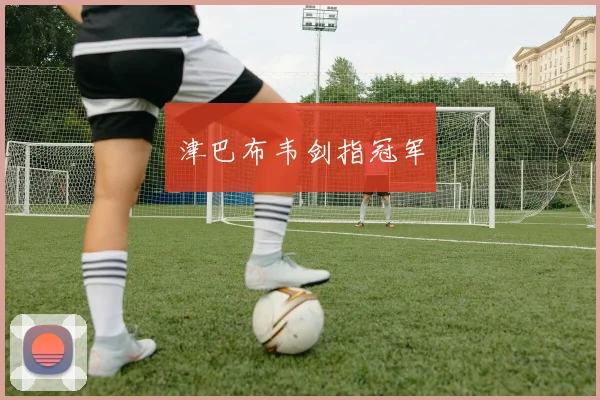 津巴布韦剑指冠军