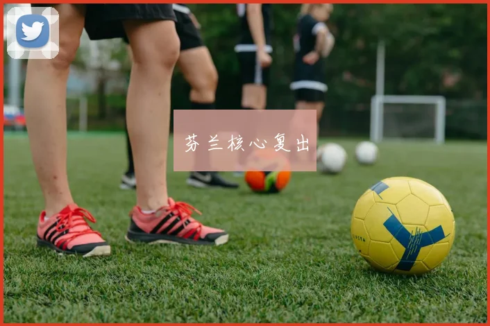 芬兰核心复出