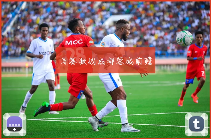 马赛激战成都蓉城前瞻