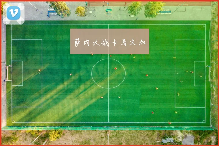 萨内大战卡马文加