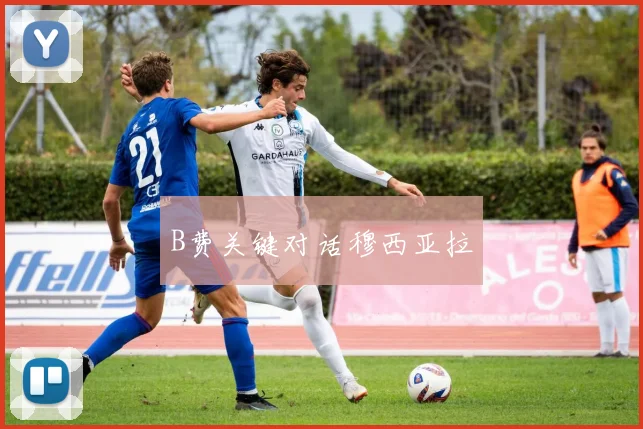 B费关键对话穆西亚拉