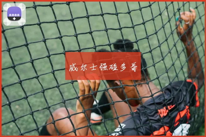 威尔士强碰多哥