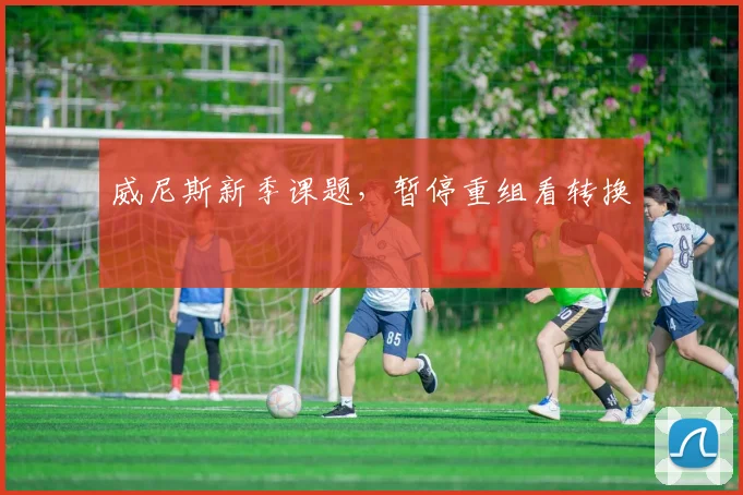 威尼斯新季课题，暂停重组看转换