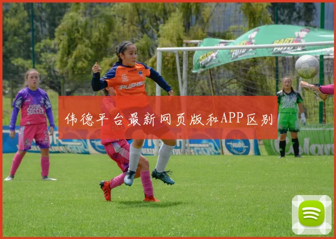 伟德平台最新网页版和APP区别