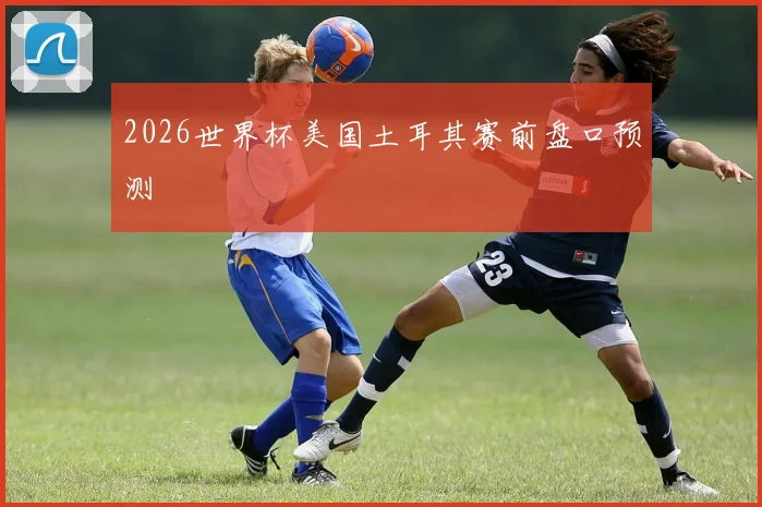 2026世界杯美国土耳其赛前盘口预测