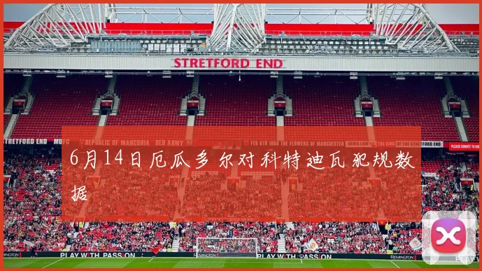 6月14日厄瓜多尔对科特迪瓦犯规数据