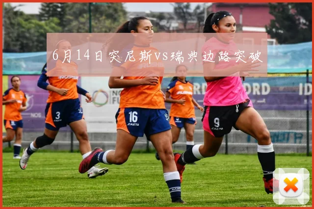 6月14日突尼斯vs瑞典边路突破