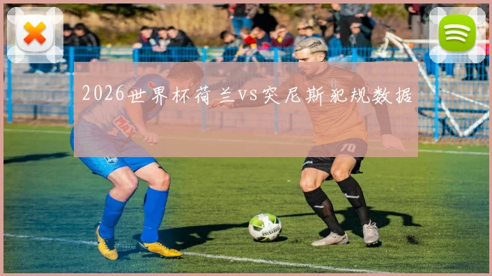 2026世界杯荷兰vs突尼斯犯规数据