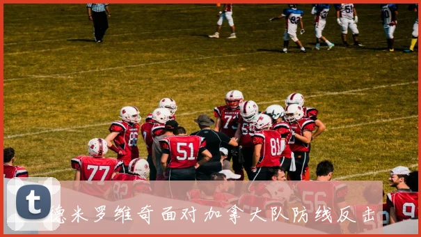 德米罗维奇面对加拿大队防线反击推进是否关键战术价值梳理